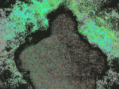 self_portrait27.gif