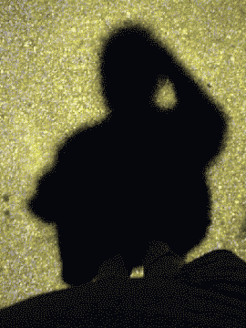 self_portrait45.gif