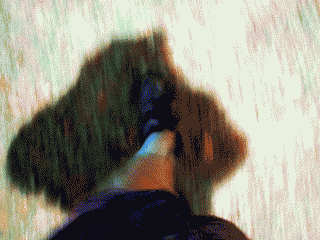 self_portrait50.gif