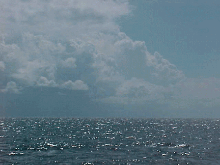 summer03.gif