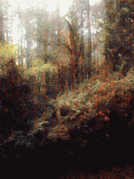 summer06.gif