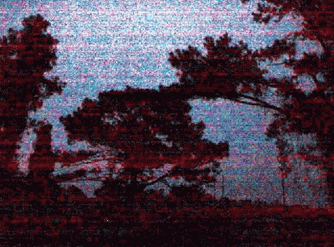 summer07.gif