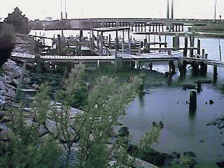 summer21.gif