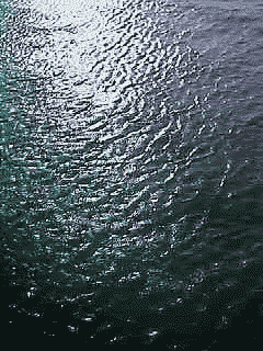 summer22.gif