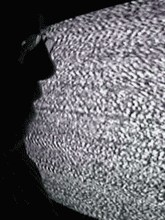tv02.gif