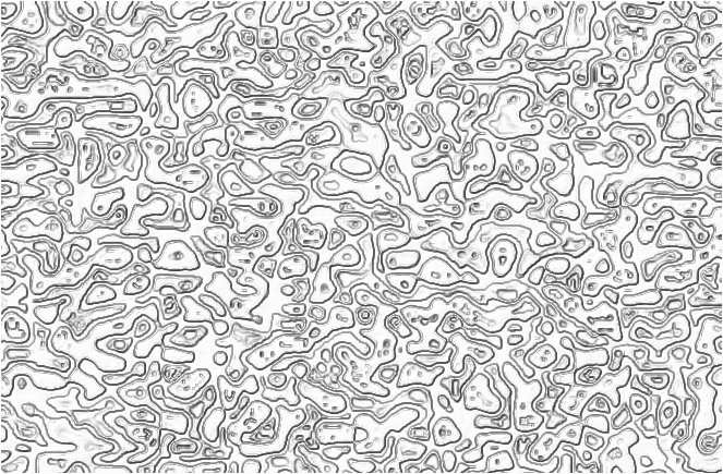 5embossed_a03.JPG