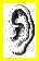 earclick.jpg (1267 bytes)