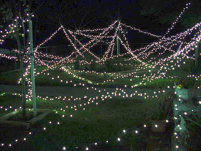 christmasyards01.jpg