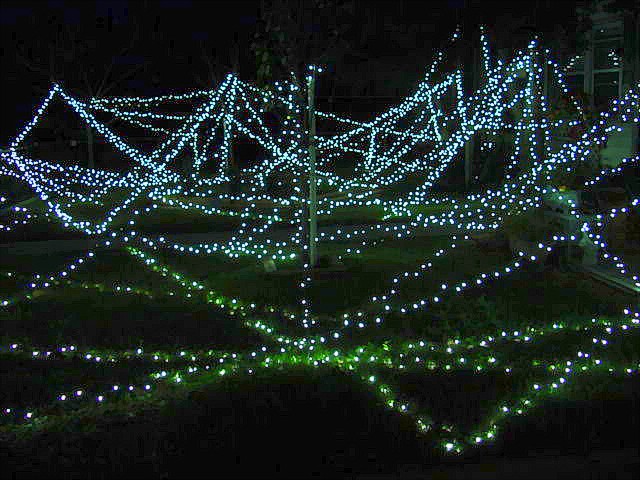 christmasyards05.jpg