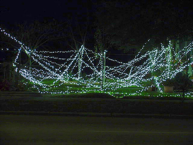 christmasyards06.jpg