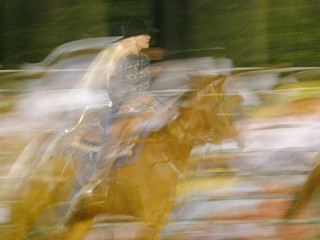 rodeo horses and riders, space-time experimental digital photography