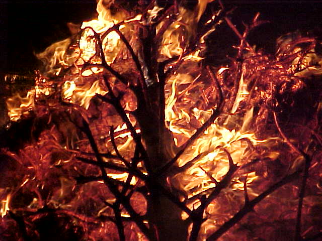 flame04.JPG