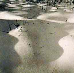 2a0snowphoto
