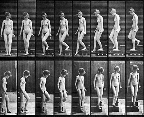 From Muybridge's Human Locomotion Studies