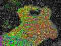 low_resolution_18.jpg