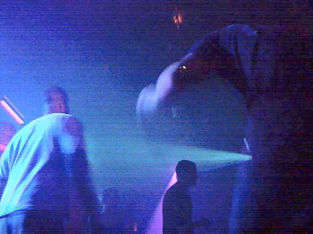 Rave_01.jpg