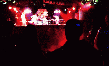 x_ziggys11_o.gif