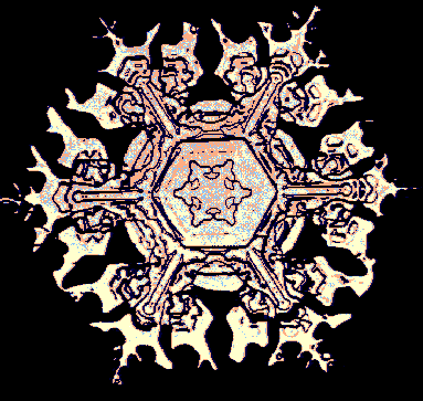 snowan03.gif