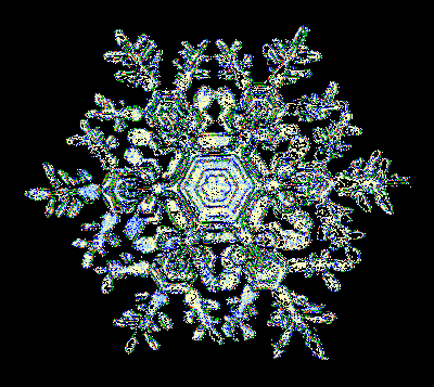 snowstill02.gif
