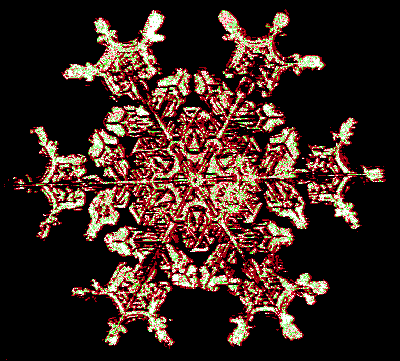 snowstill03.gif