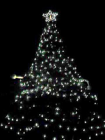 Christmas lights, no camera movement