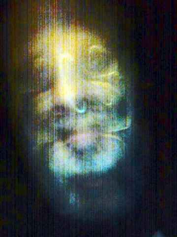 selfmotion03.jpg