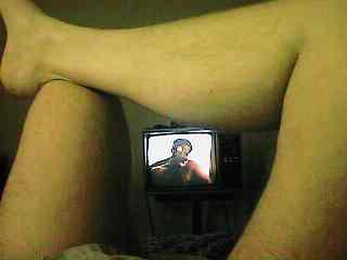 dinlnd01.jpg - 10471 Bytes