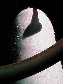 dinlnd05.jpg - 11842 Bytes