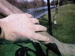 dinlnd06.jpg - 15245 Bytes