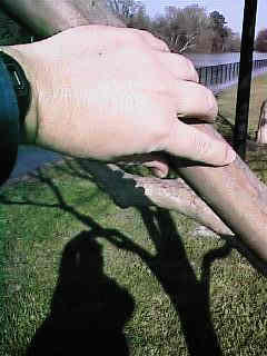 dinlnd07.jpg - 19567 Bytes