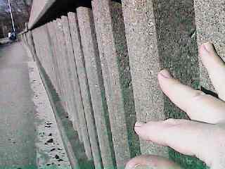 dinlnd08.jpg - 19780 Bytes