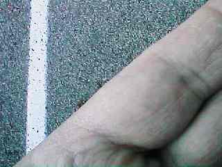 dinlnd10.jpg - 19335 Bytes