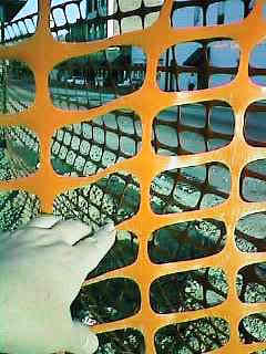 dinlnd11.jpg - 28498 Bytes