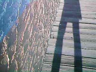 dshdow01.jpg - 10471 Bytes