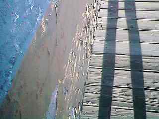 dshdow02.jpg - 10471 Bytes