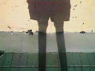 dshdow03.jpg - 10471 Bytes