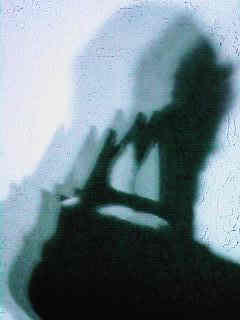 dshdow08.jpg - 19780 Bytes