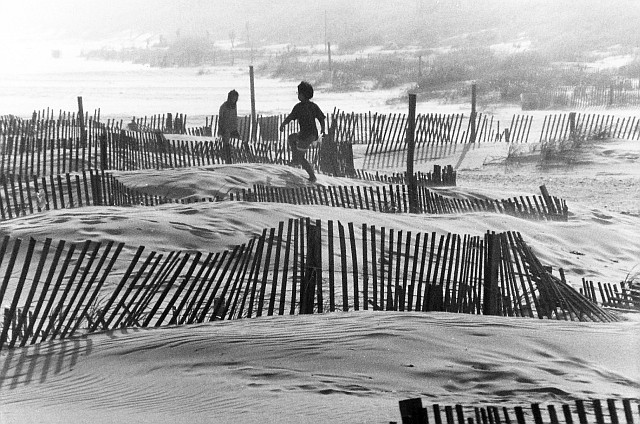 Human Figures in Motion