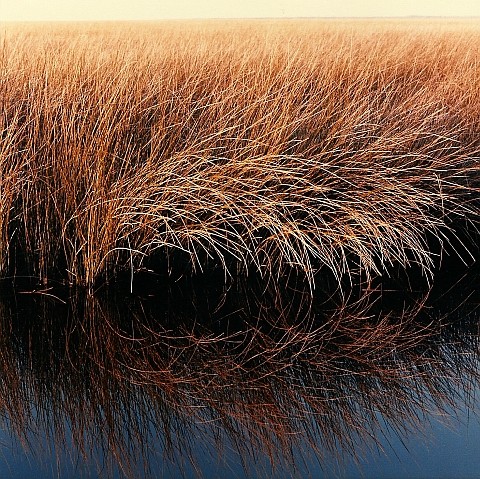 Compositions and Abstracts Shot at a Medium Distance (Medium Shots)