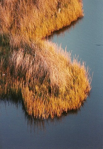 Compositions and Abstracts Shot at a Medium Distance (Medium Shots)