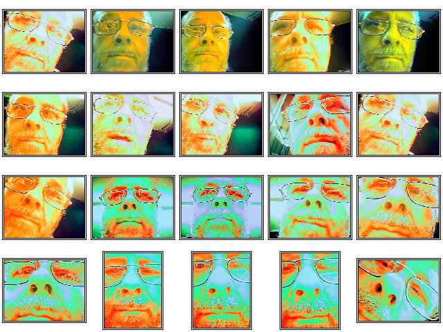 NeonContact
