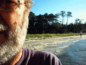 x_self_harkersisland.gif
