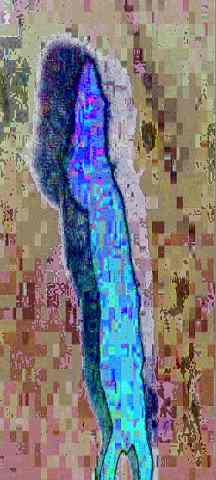 1grpshadow1_006.jpg