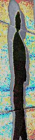 1grpshadow1_012.jpg