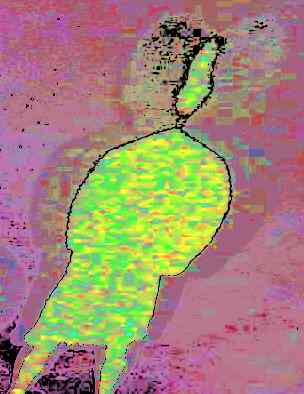 1grpshadow1_013.jpg