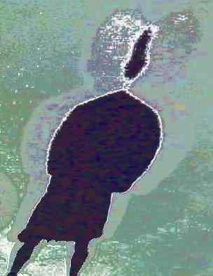 1grpshadow1_014.jpg