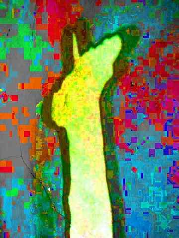 1grpshadow1_016.jpg