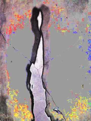 1grpshadow1_019.jpg