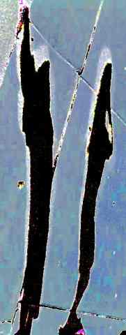 2grpshadow2_006.jpg