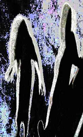 2grpshadow2_012.jpg